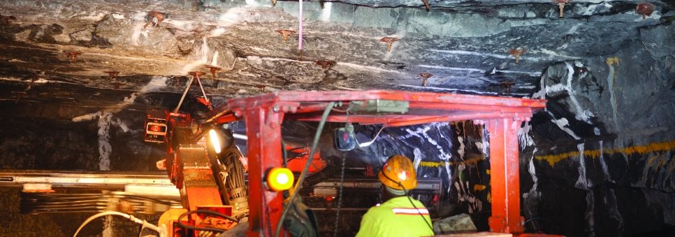 iSure Professional Services package